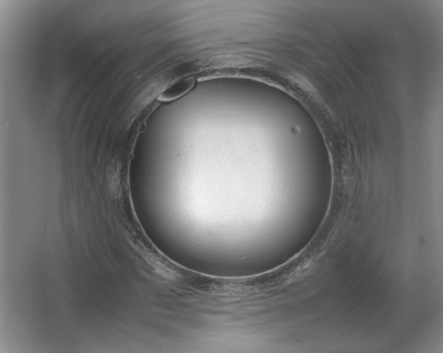 X0000066940873200603241139