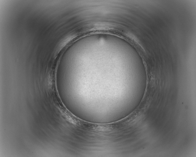 X0000066940874200603241139