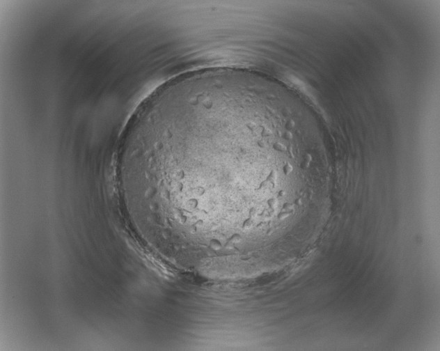 X0000066940875200603241139