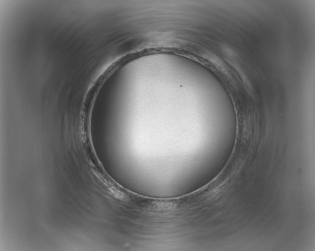 X0000066940878200603241139