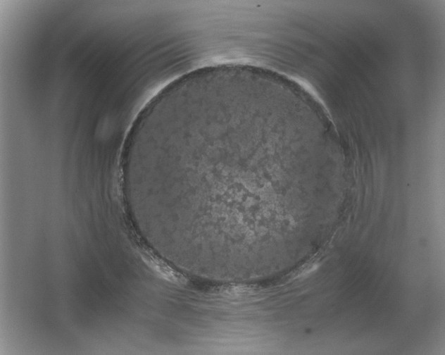 X0000066940879200603241139