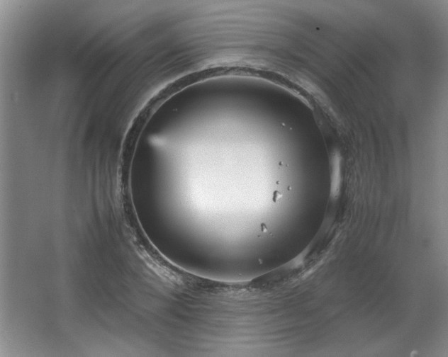 X0000066940880200603241139