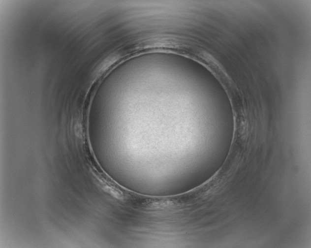 X0000066940882200603241139