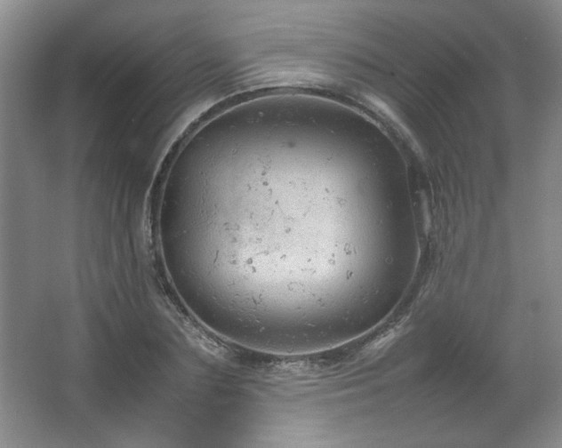 X0000066940883200603241139