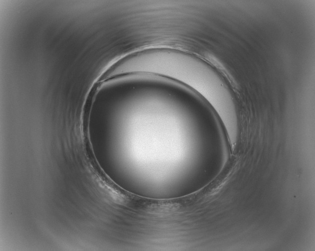 X0000066940884200603241139