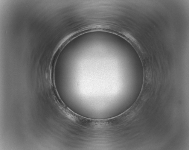 X0000066940886200603241139