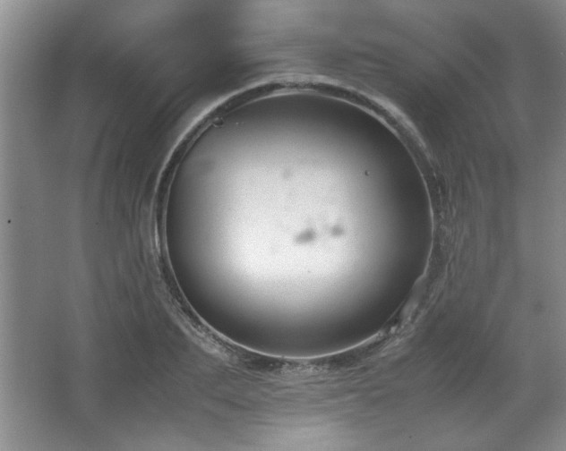 X0000066940887200603241139