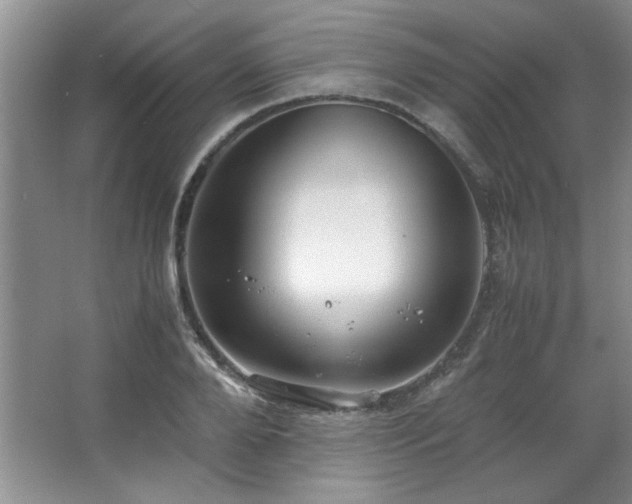 X0000066940888200603241139