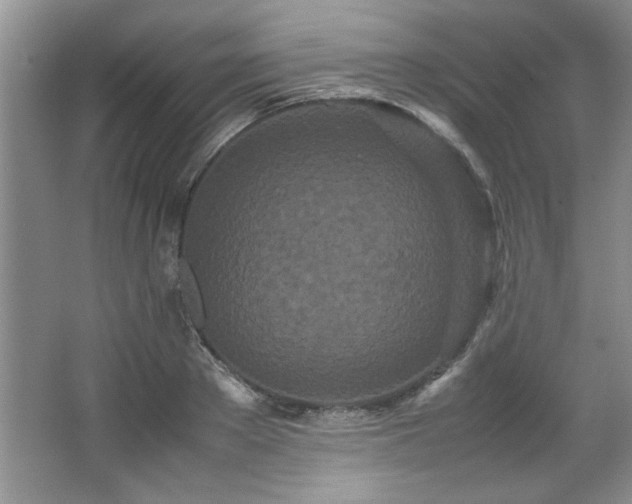 X0000066940889200603241139