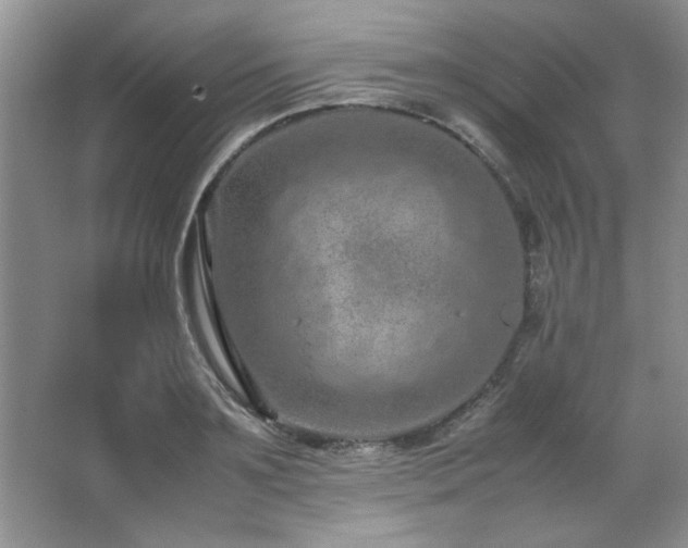 X0000066940891200603241139