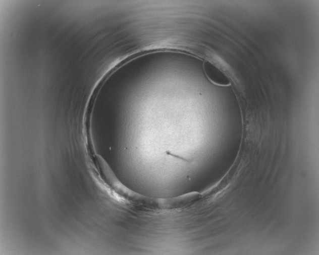 X0000066940892200603241139