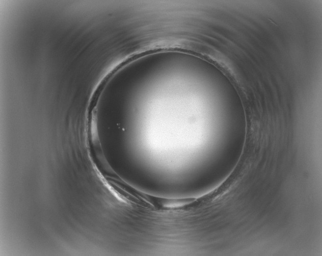 X0000066940894200603241139