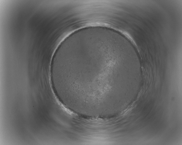 X0000066940895200603241139