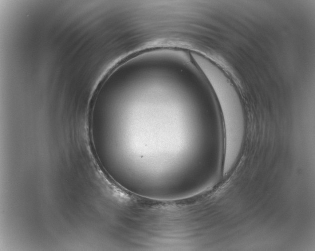 X0000066940896200603241139