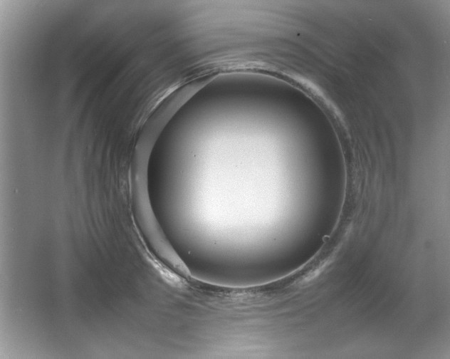 X0000066940897200603241139