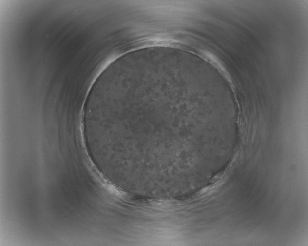 X0000066940899200603241139