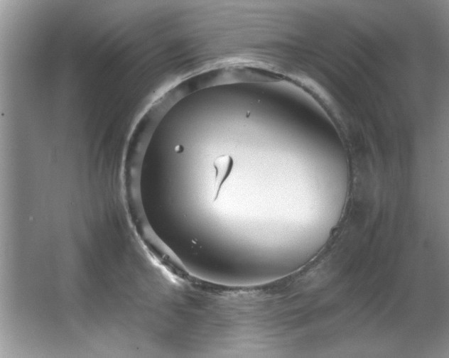 X0000066940902200603241139