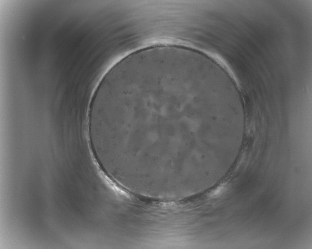 X0000066940903200603241139