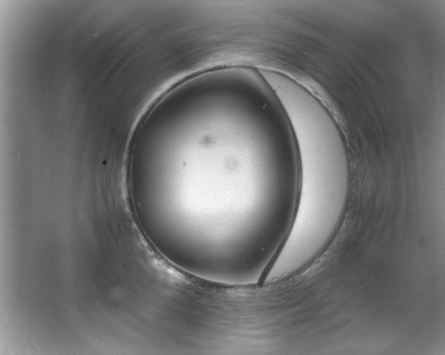 X0000066940904200603241139