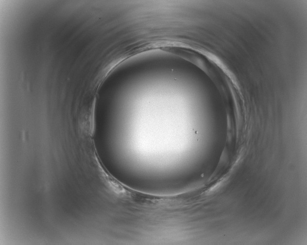 X0000066940905200603241139