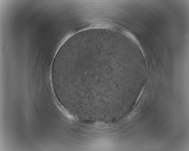 X0000066940907200603241139