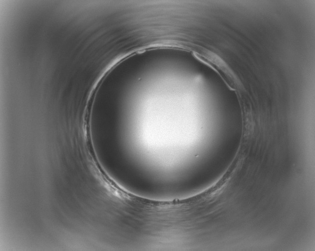 X0000066940908200603241139