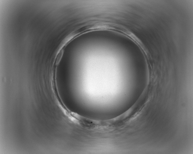 X0000066940909200603241139