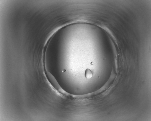 X0000066940910200603241139