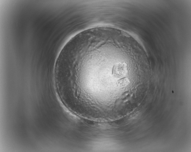 X0000066940911200603241139