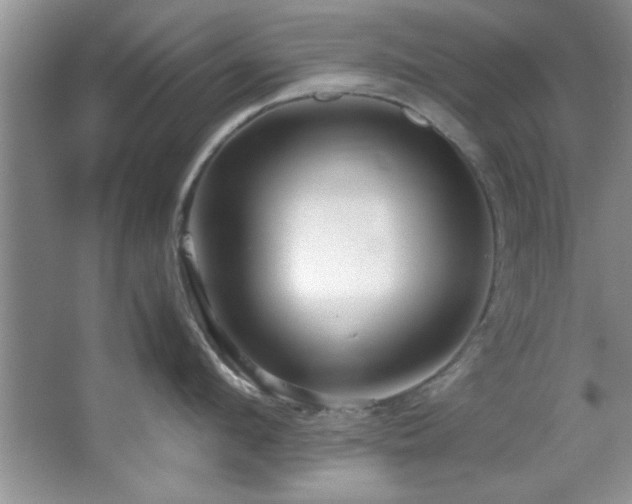 X0000066940912200603241139