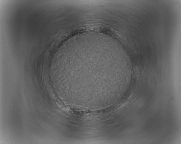 X0000066940913200603241138