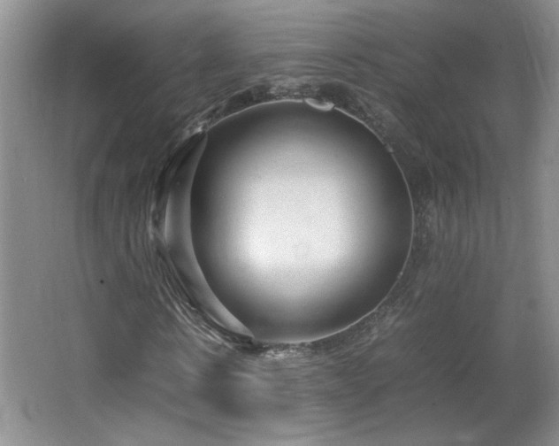 X0000066940914200603241138