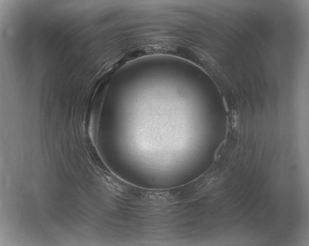 X0000066940915200603241138