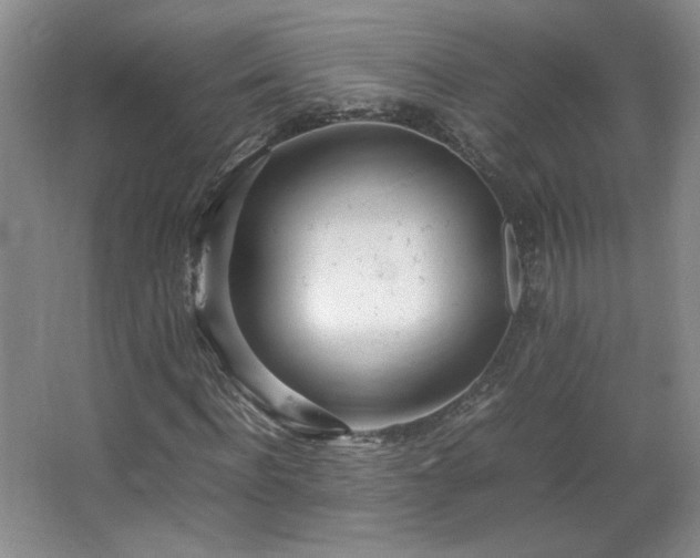 X0000066940916200603241138