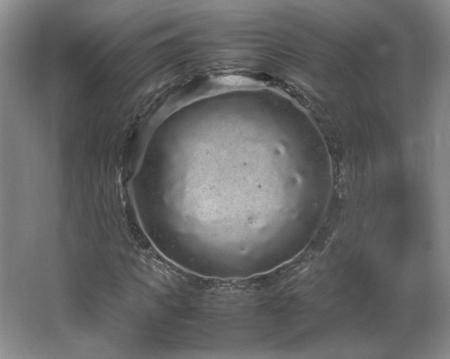 X0000066940917200603241138