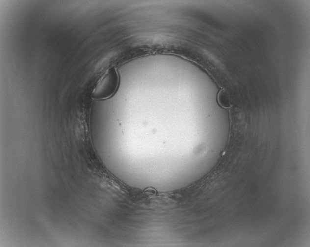 X0000066940918200603241138