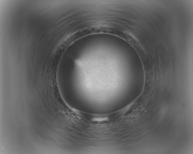 X0000066940919200603241138