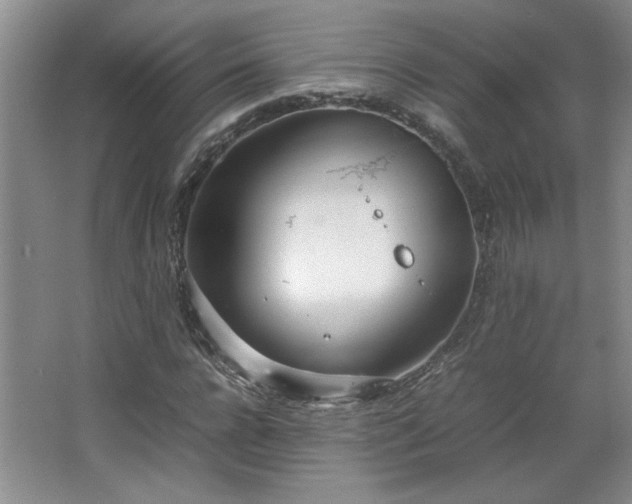 X0000066940920200603241138