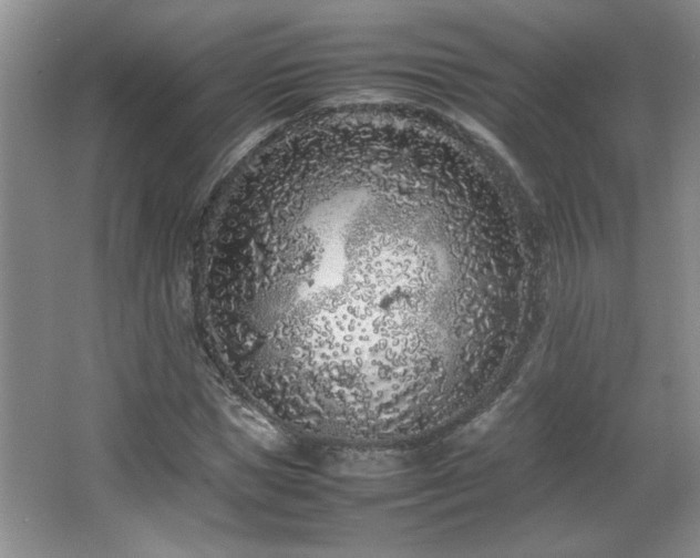 X0000066940921200603241138