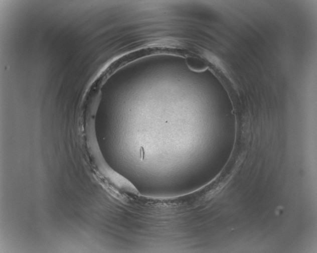 X0000066940923200603241138