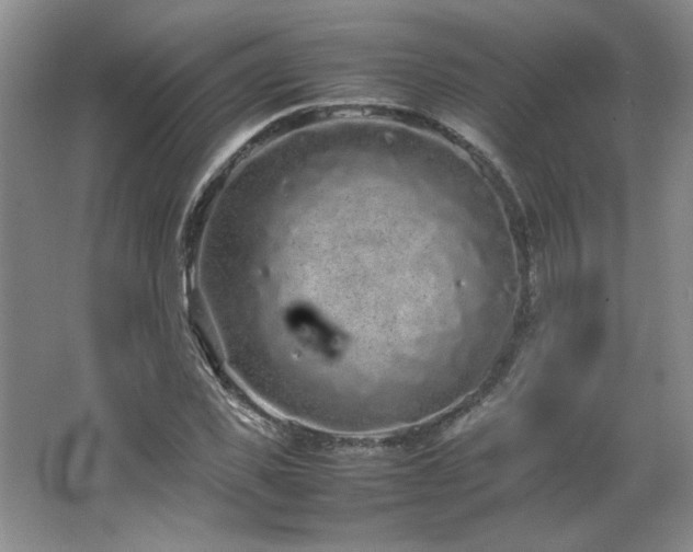 X0000066940925200603241138