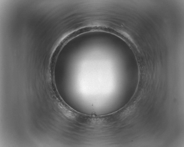 X0000066940927200603241138