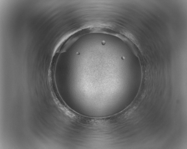 X0000066940928200603241138