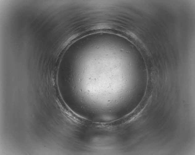 X0000066940929200603241138