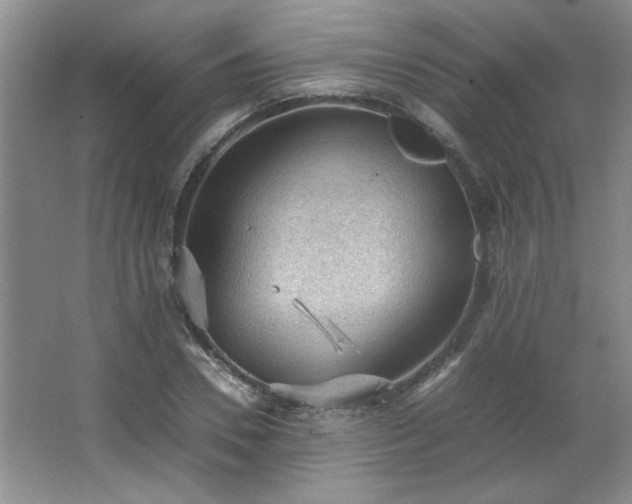 X0000066940930200603241138