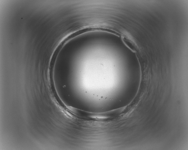 X0000066940932200603241138