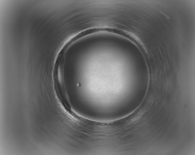 X0000066940935200603241138