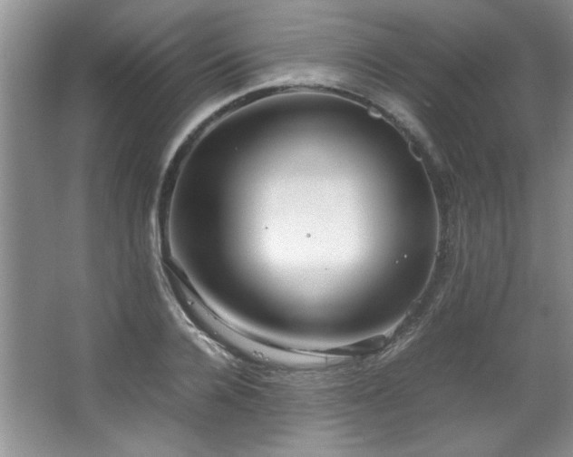 X0000066940936200603241138