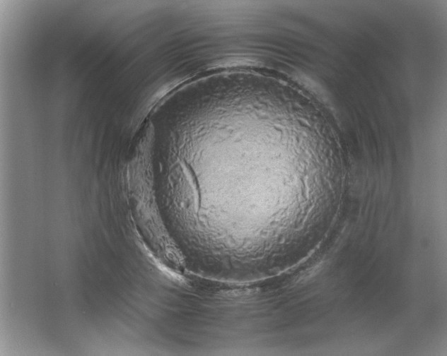 X0000066940937200603241138