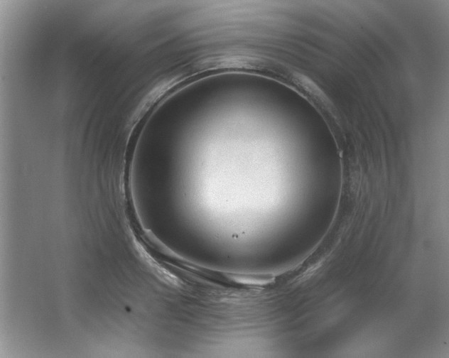 X0000066940938200603241138